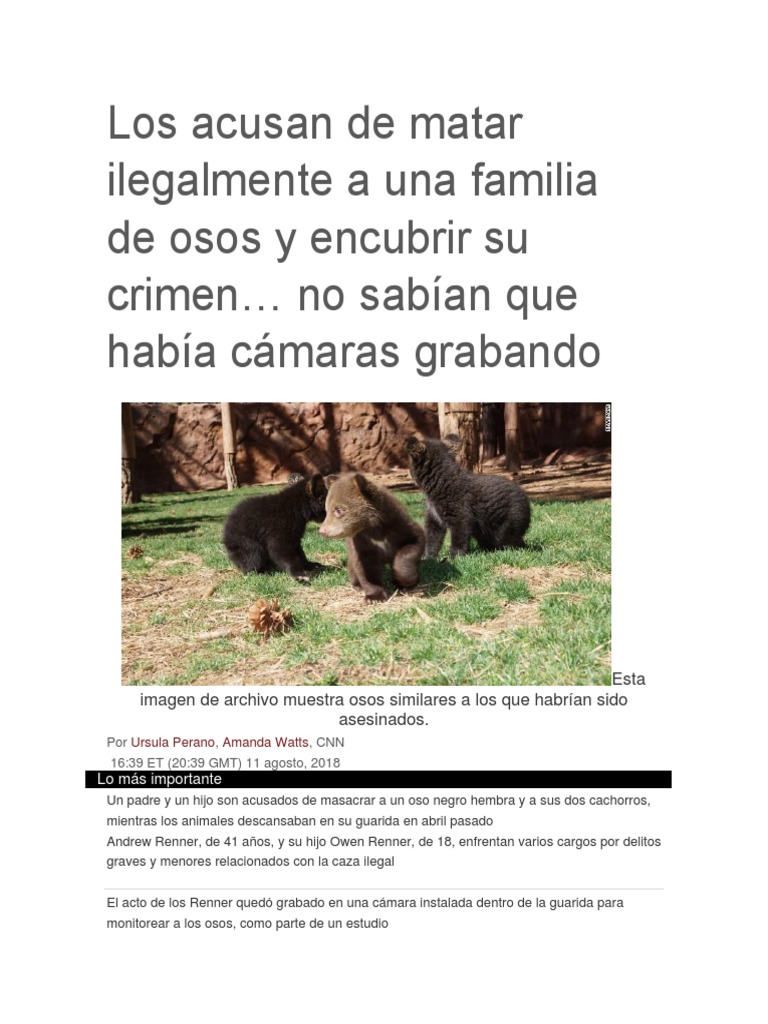 Los Acusan de Matar Ilegalmente A Una Familia de Osos y Encubrir Su ...