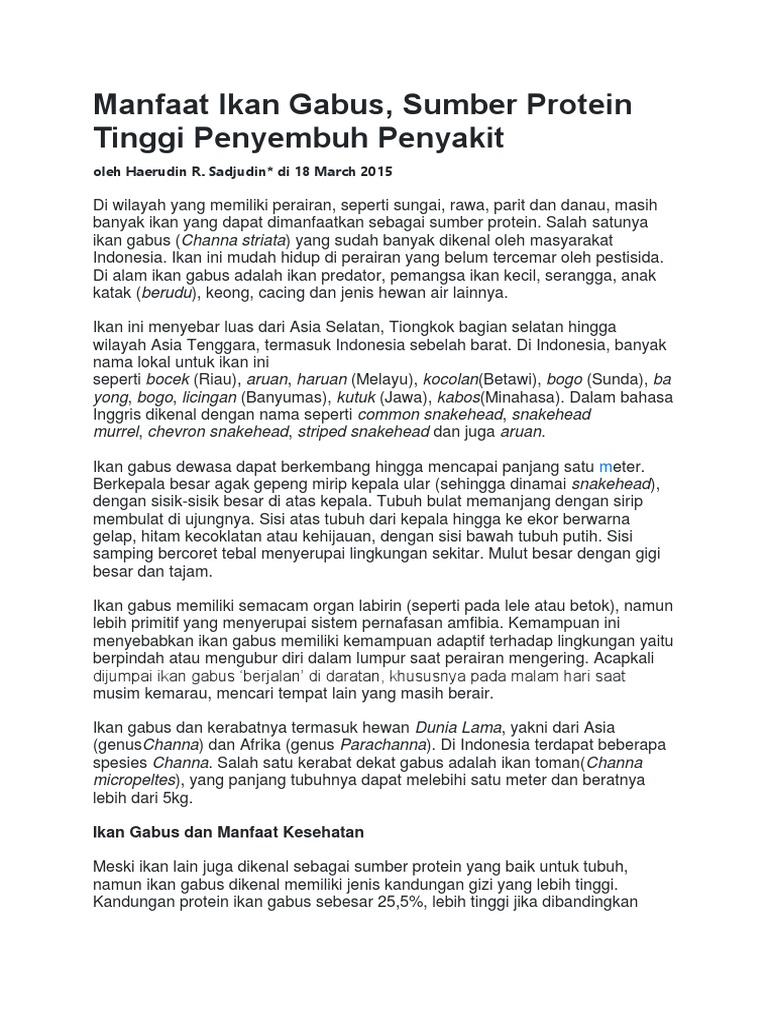Manfaat Ikan Gabus