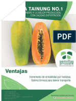 Cultivo de Papaya