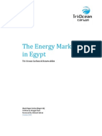 Energy Market in Egypt - Report Jan 2010