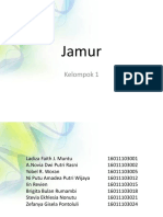 Jamur