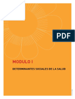 Modulo_1Parte1_Flacso_2011.pdf