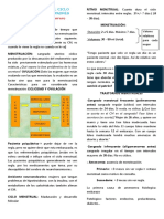 Fisiología Del Ciclo Menstrual. 