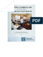 Ciencias-Naturales-Dn_o-Curr.pdf