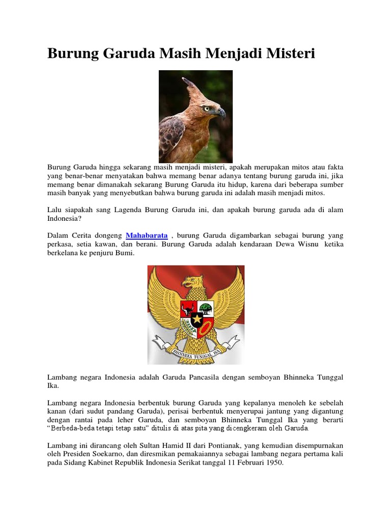 Burung Garuda Masih Menjadi Misteri