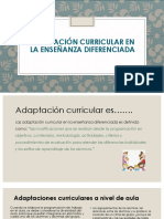 01 Adaptacion Curricular en La Ensenanza Diferenciada