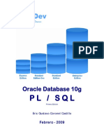 Oracle DB10 G PLSQL
