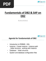 SAP On DB2 Overview - Updated