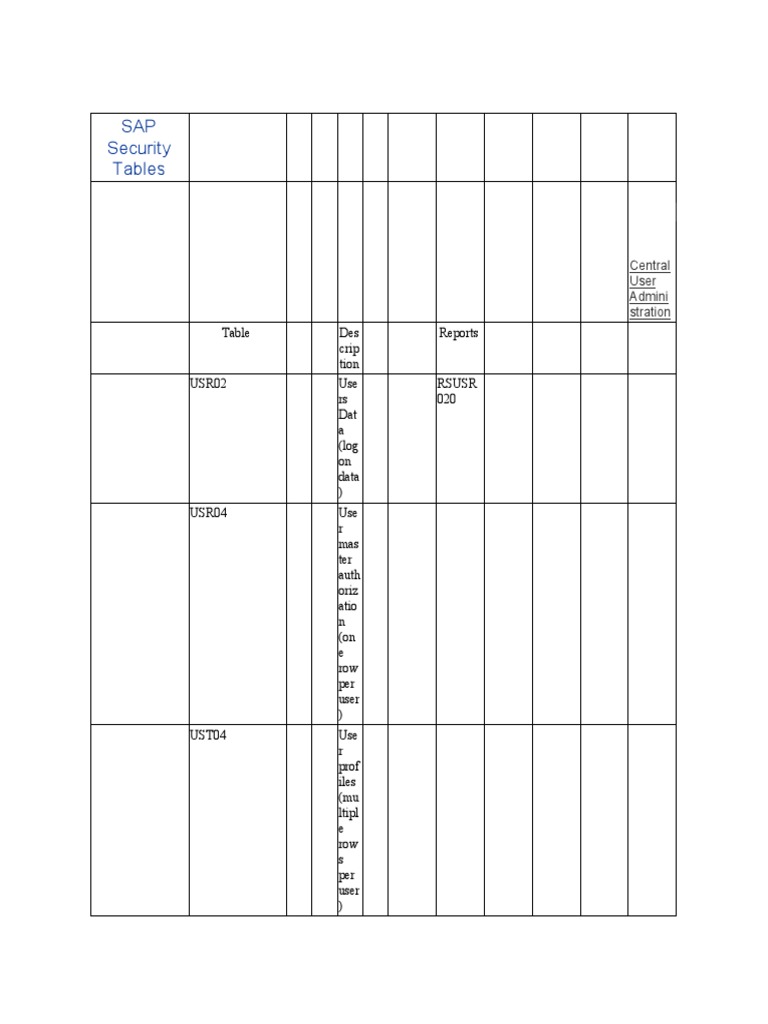 SAP Security PDF PDF