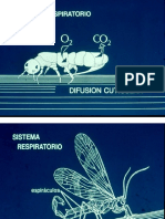 Clase 06 Fisiologia 2