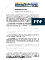 Manifiesto de La FELGTB Despatologizacion Trans 2010