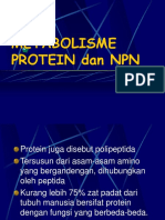 Metabolisme Protein Dan NPN Baru