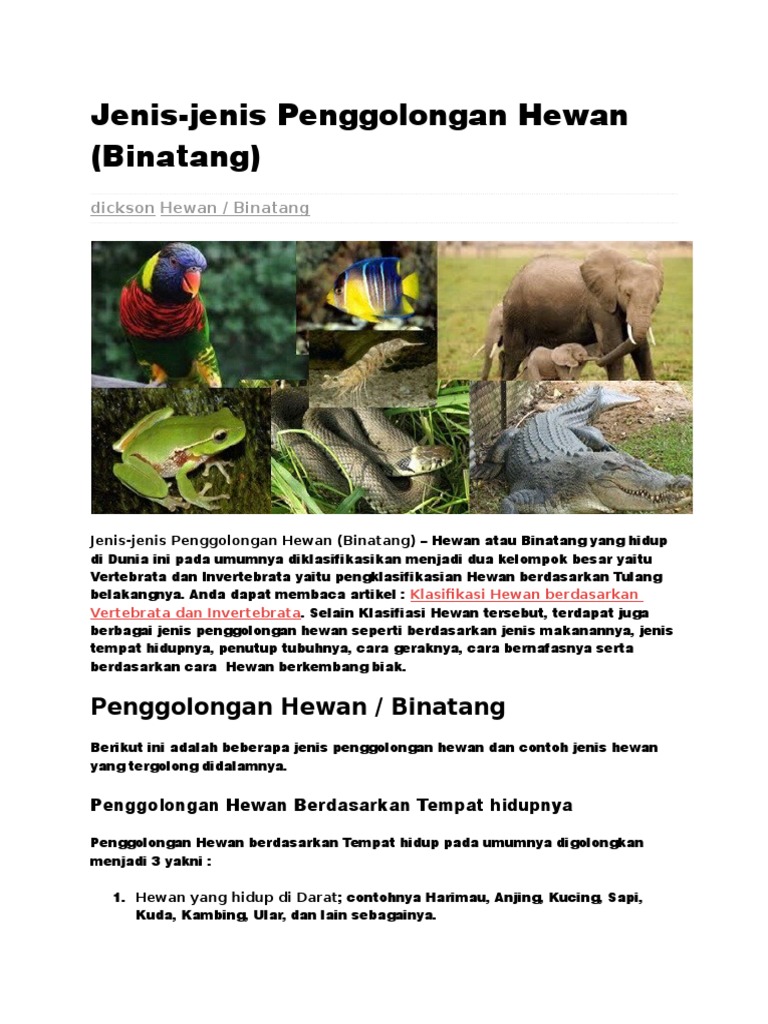 Hewan Vertebrata Dan Invertebrata Berbagi Informasi Hewan Vertebrata Dan Invertebrata Berbagi Informasi