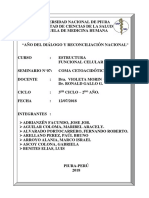 Seminario N 07 Coma Acetoacidotico