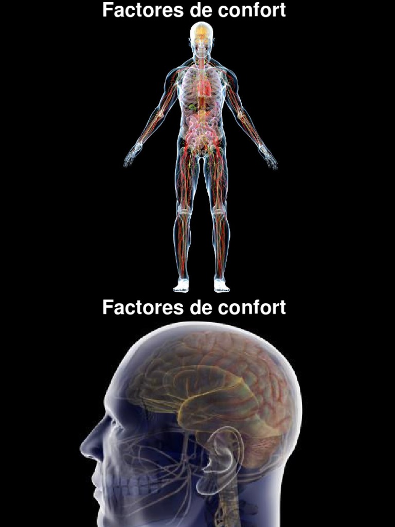 Clase02 DiseñoAmbientesConfortHigrotermico PDF Calor Temperatura