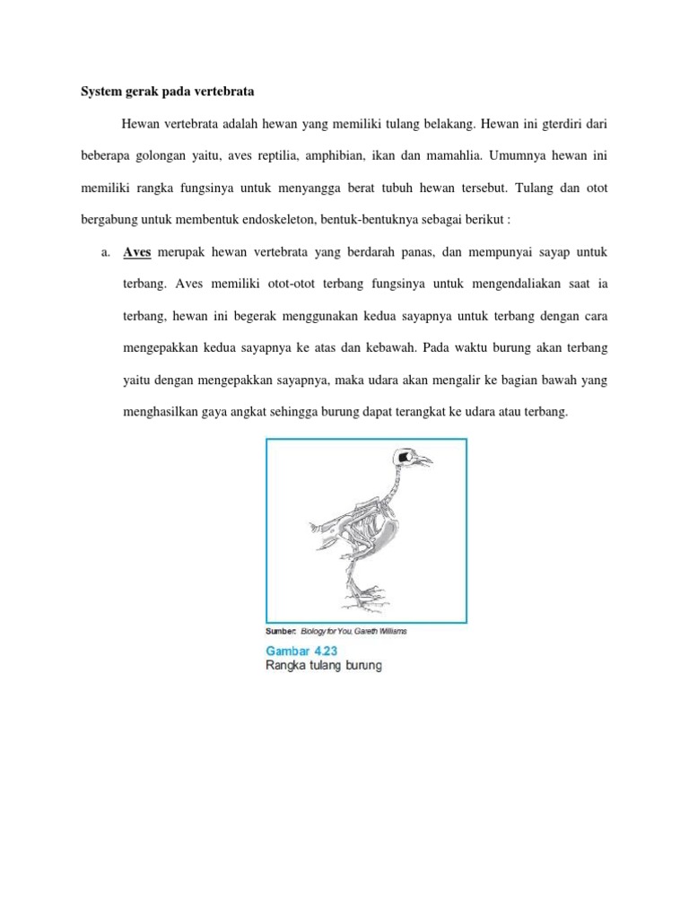 43 Gambar Rangka Hewan Burung HD