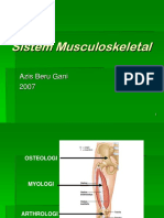 Sistem Musculoskeletal