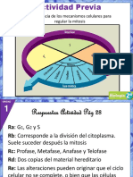 Clase 1 Control Del Ciclo Celular