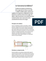 ¿Cómo Funciona La Diálisis - PDF