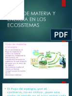 Flujo de Materia y Energia en Los Ecosistemas