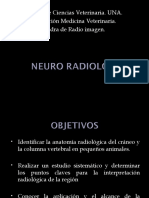 cabeza y columna CAAZAPA 2018.ppt