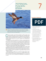 Cap - 7 Física Universitaria Sears Zemansky 13a Edición Vol 1 PDF