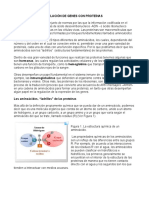 Genes y proteínas: los ladrillos de la vida