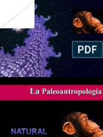 PALEOANTROPOLOGIA