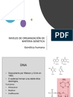 Niveles de Organización Genética