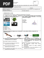 Prueba de Diagnóstico de Ciencias Cuarto