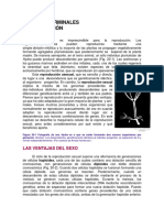 Células Germinales y Fecundación PDF