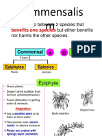 Commensalis M: - Relationship Between 2 Species That But Either Benefits Nor Harms The Other Species