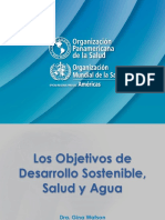 Lineamientos de Política de Salud 2007 2020