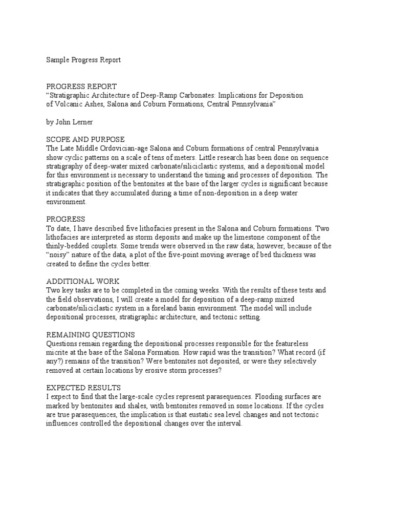 Sample Progress Report | PDF