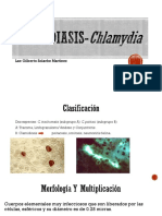 Clamidiasis Chlamydia