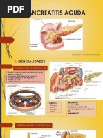 Pancreatitis Aguda