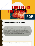 Tuberculosis Intestinal