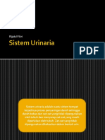 Sistem Urinaria