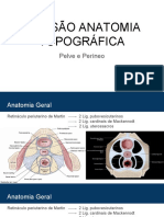 Penicilinas Naturais