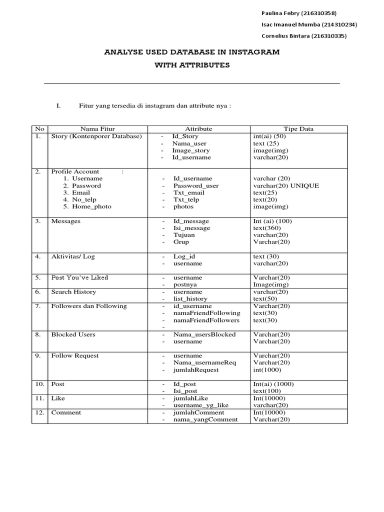 Analyse Used Database With Attributes | PDF | User (Computing ...