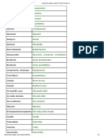 Vocabulario Inglés-Español Describir Gente