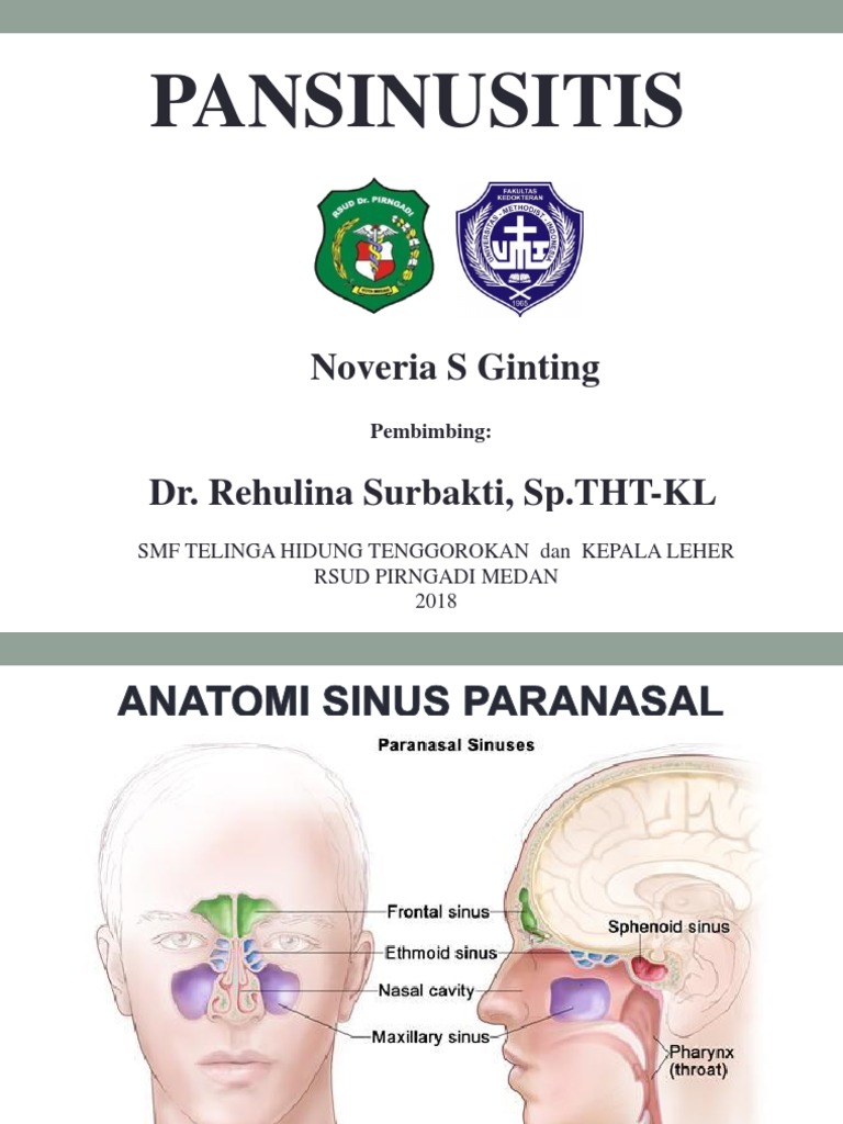 Pansinusitis: Diagnosis dan Terapi | PDF