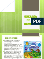 Energia de La Biomasa 1