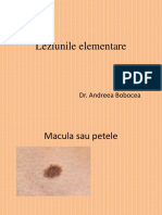 Curs 2 Dermato