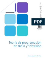 Teoria de Programacion en Radio y TV