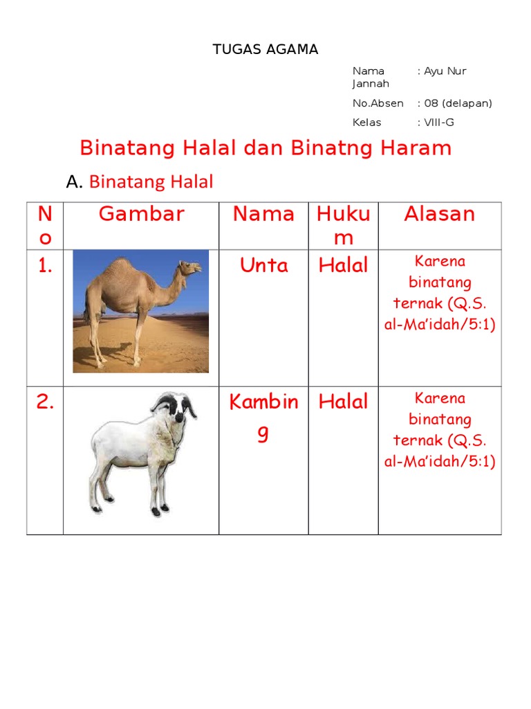 440+ Gambar Hewan Halal Dan Haram Gratis Terbaru