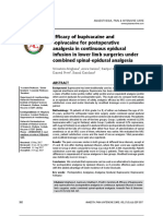 Anes 1 PDF