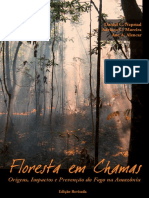 Floresta_em_Chamas.pdf