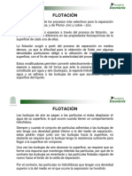 flotacion.pdf