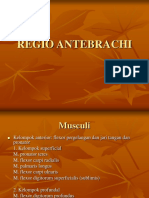 Regio Antebrachi.ppt